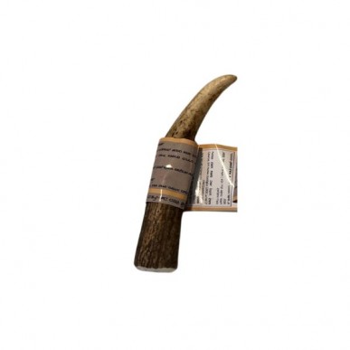 קרן אייל לכלב שלמה 100% טבעי – S