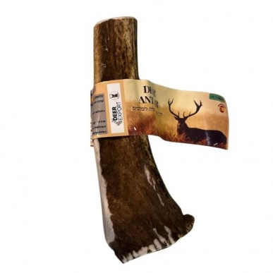 קרן אייל לכלב שלמה 100% טבעי – XL