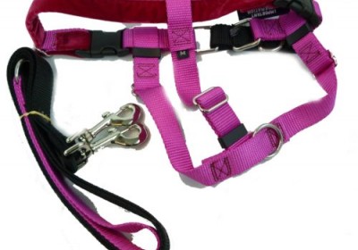 רתמות, קולרים ורצועות