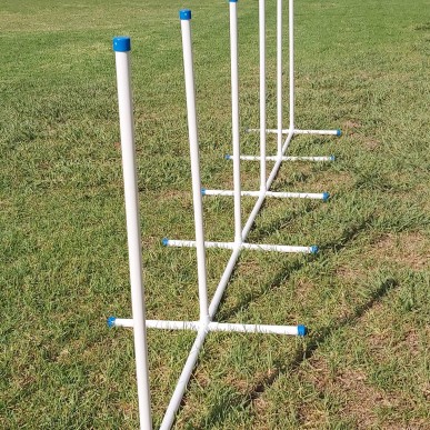 אג'ילטי לכלבים מקצועי - סללום 6 מוטות