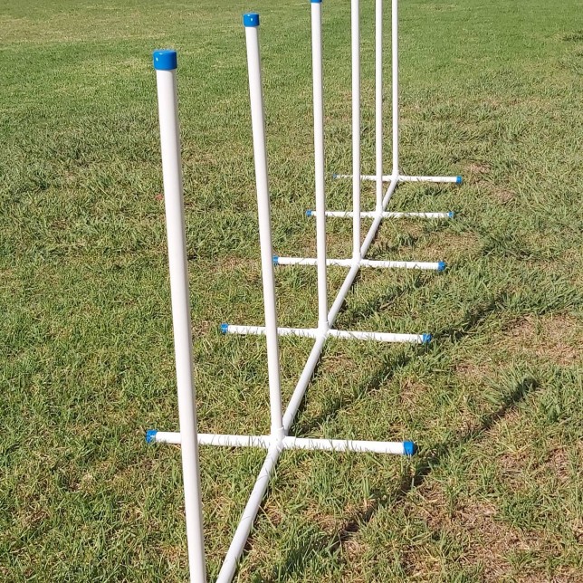 אג'ילטי לכלבים מקצועי - סללום 6 מוטות