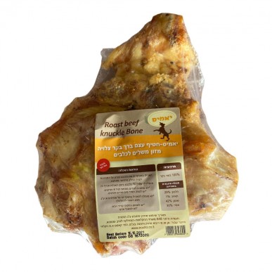 עצם פרה מפרק ירך גדולה