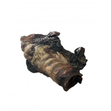 האו ומיאו - עצם לעיסה גורגורת עם קנה בקר