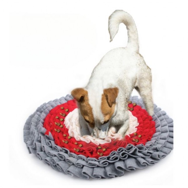 שטיח הרחה וחיפוש חטיפים פלאפי