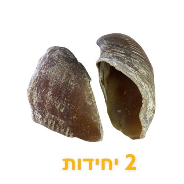 האו ומיאו - פרסת בקר טבעית 2 יחידות