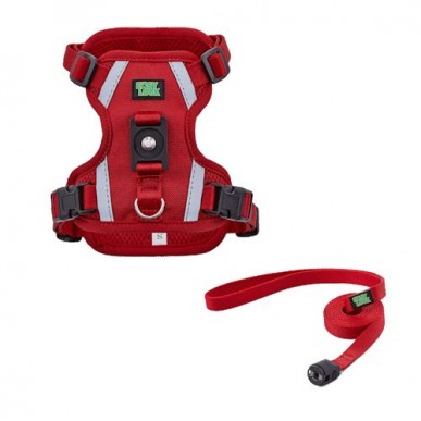 Easy Lock - רתמה + רצועה תואמת בעלת חיבור מגנטי לכלבים קטנים (S)