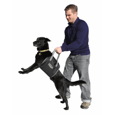 רתמת הרמה לכלב - HOUND