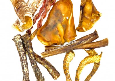 עצמות לכלבים