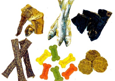 חטיפים בריאים לכלבים