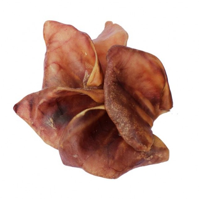 אוזן חזיר טבעית גדולה - 10 יח' 