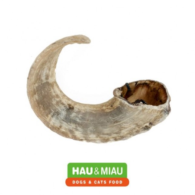 האו ומיאו קרן כבש - 20 ס"מ