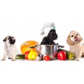 תזונה טבעית לכלבים