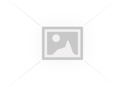 משטחי ליקוק לכלבים